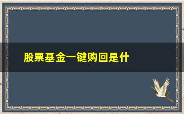 “股票基金一键购回是什么意思